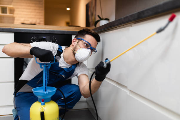 Best Affordable Pest Control Services  in Sevierville, TN