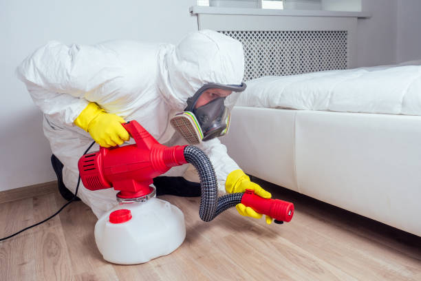 Best Termite Control Services  in Sevierville, TN