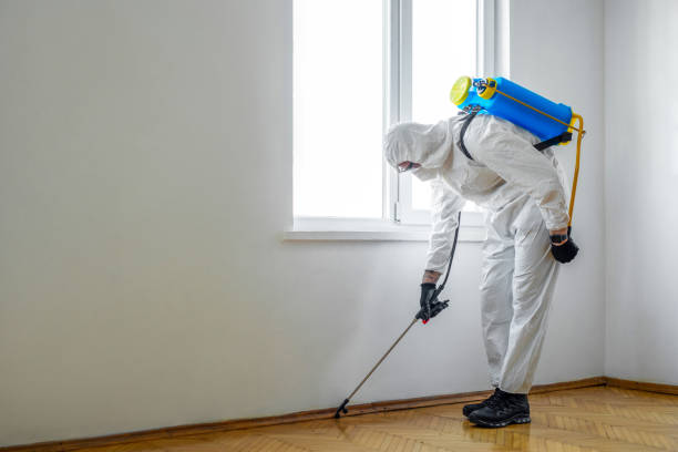 Best Best Pest Control Companies  in Sevierville, TN