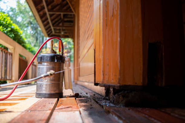 Wasp Removal Services in Sevierville, TN
